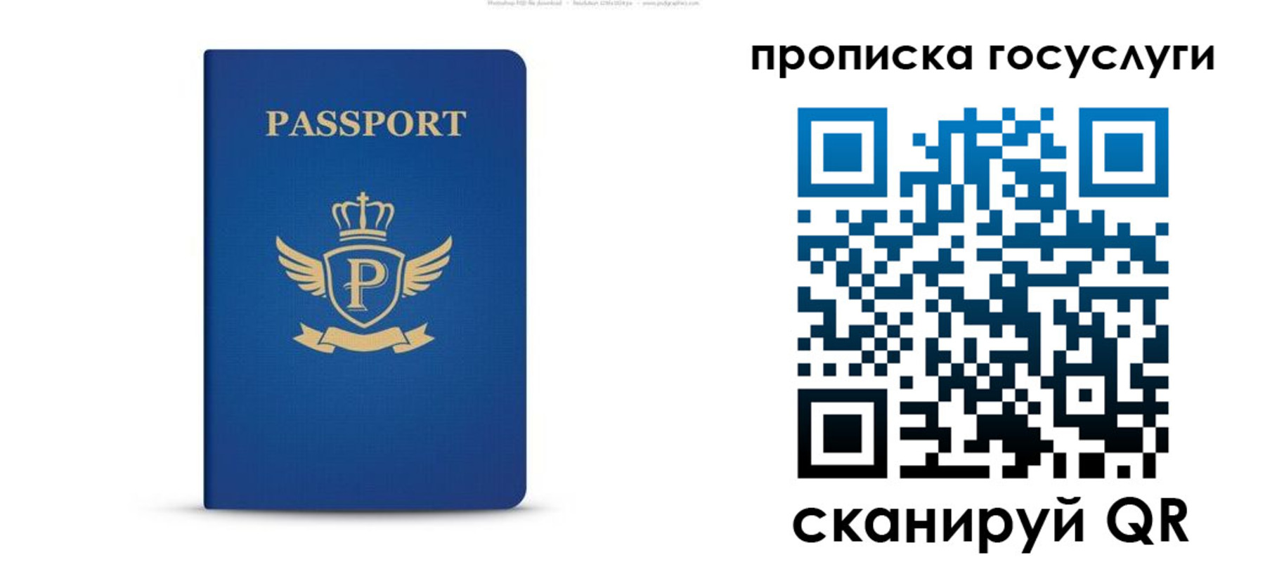 прописка для школы в Болотном